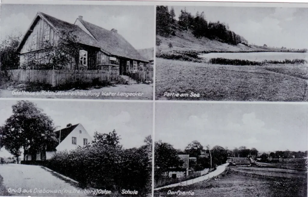 Diebauen