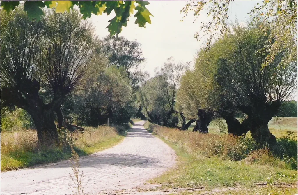 Eibenau