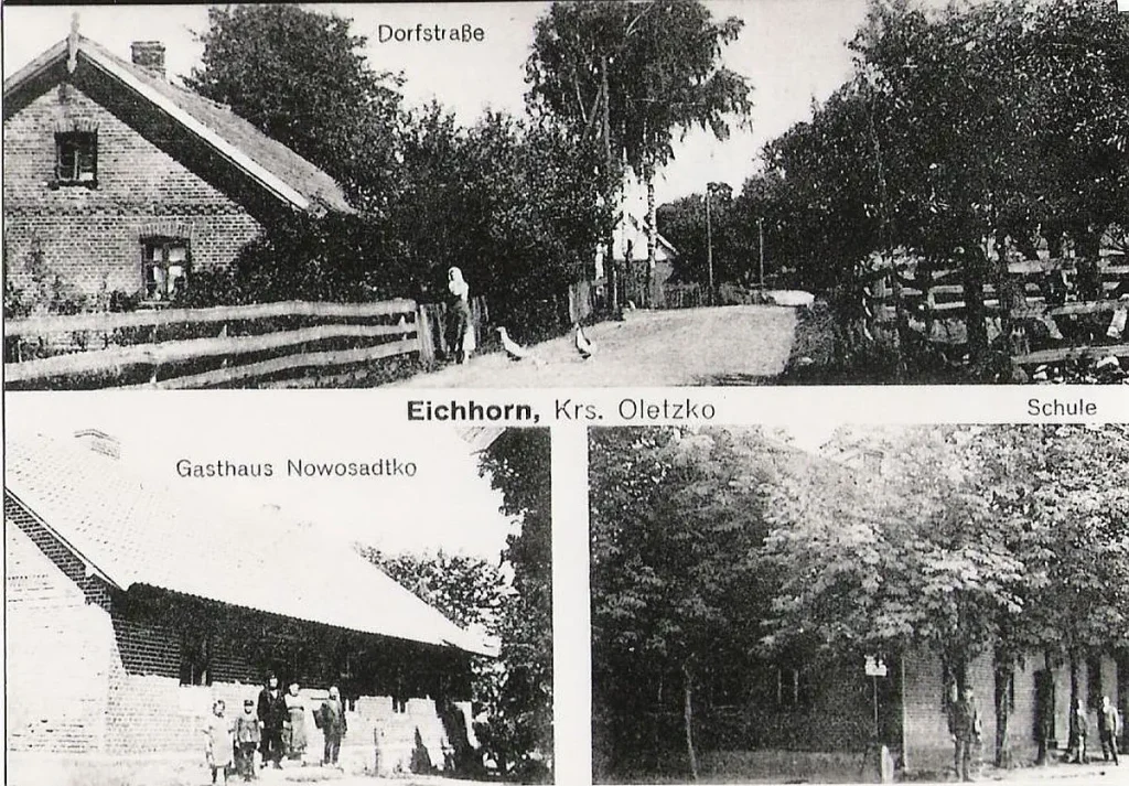 Eichhorn
