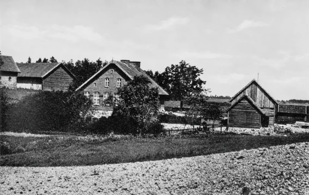 Jarken_Borkowinnen