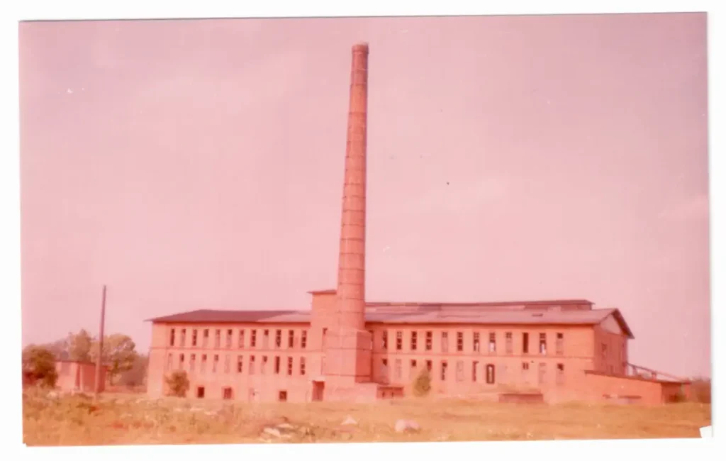 Roggenfelde
