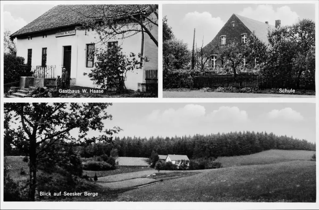 Seesken